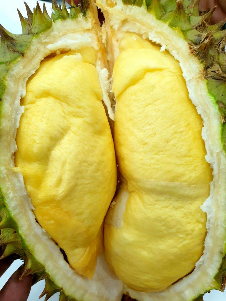 Sầu riêng