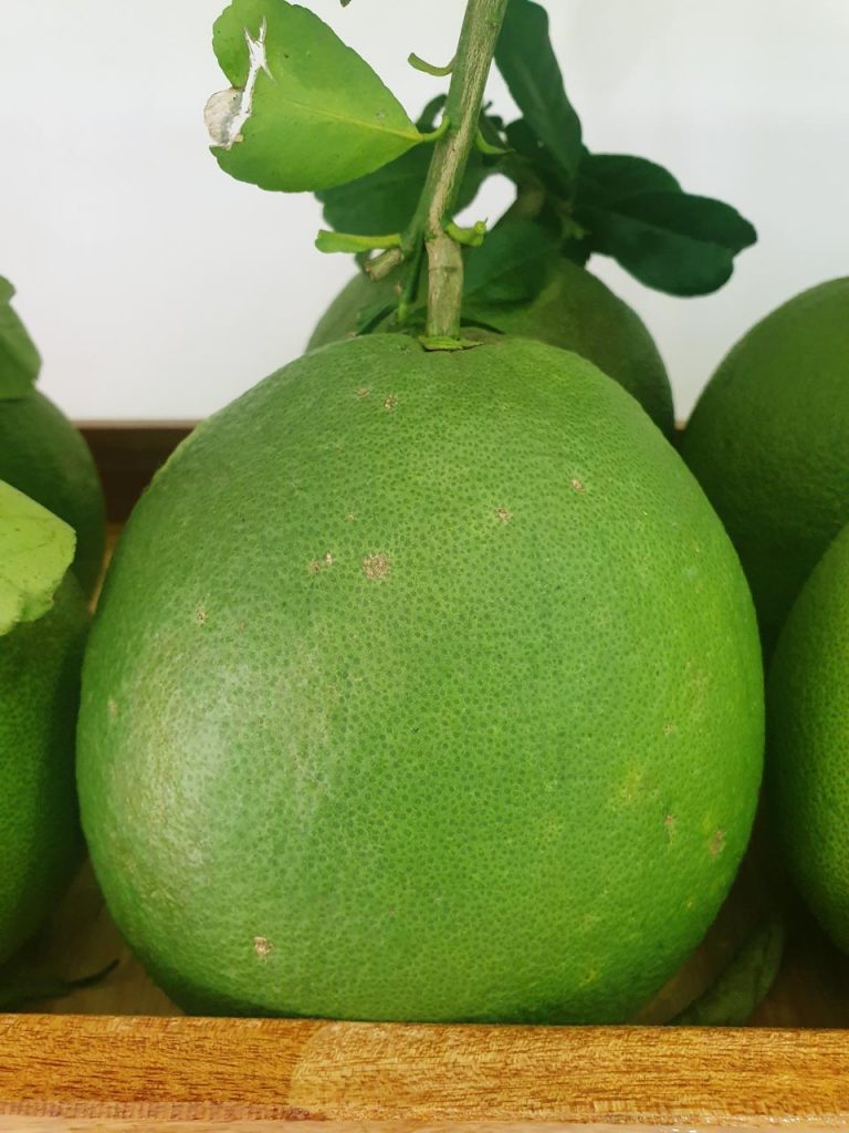 Bưởi da xanh