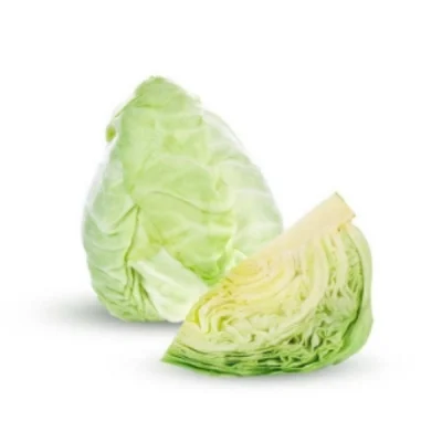 Bắp cải trắng