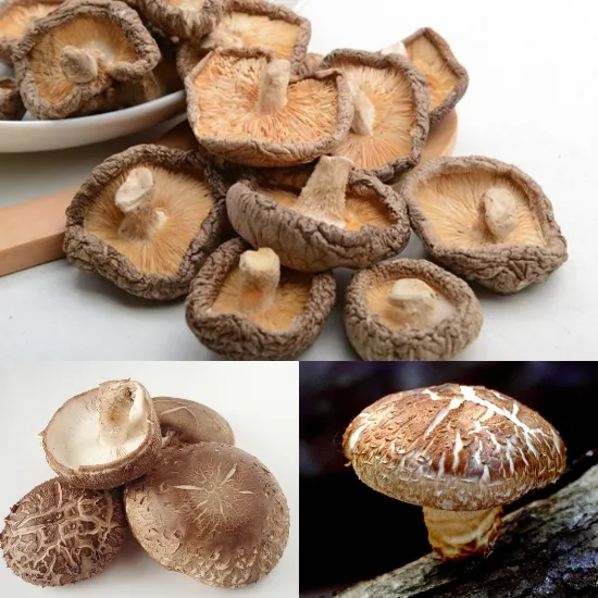 Đồ khô