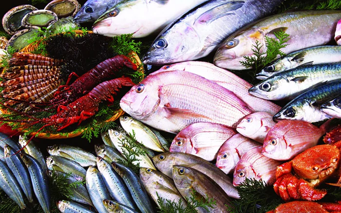 Khu vực đình hàng Cá